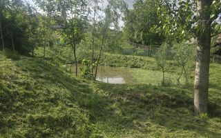Oază de liniște și natură! Casă  cu 2 heleșteie și pârâu în curte – Probota - Poză 3