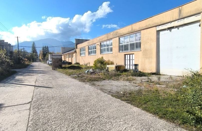 Hală de vânzare – Parcul Industrial Tohanul Vechi, Zărnești - Poză 1