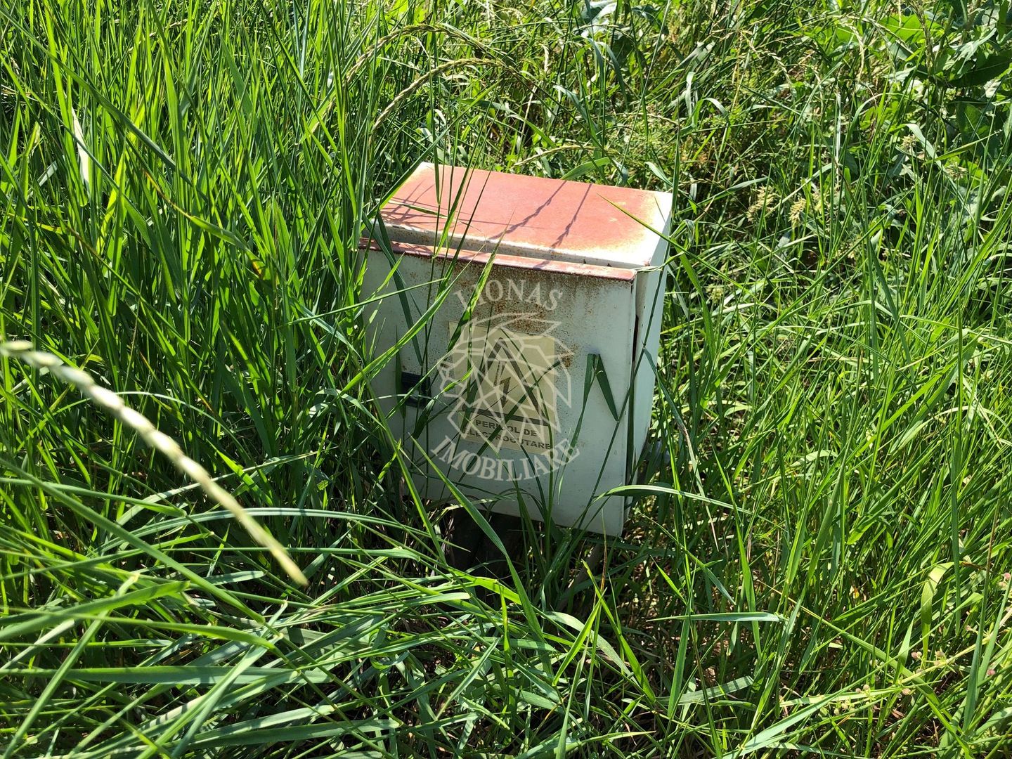 Teren intravilan 1800 mp-parcelabil-panoramic-Unirea - Poză 5