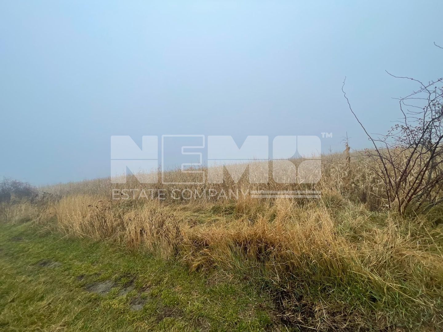 TEREN EXTRAVILAN | DOUA PARCELE 2.84 HA| IDEAL AGRICOL | DARMANESTI - Poză 1