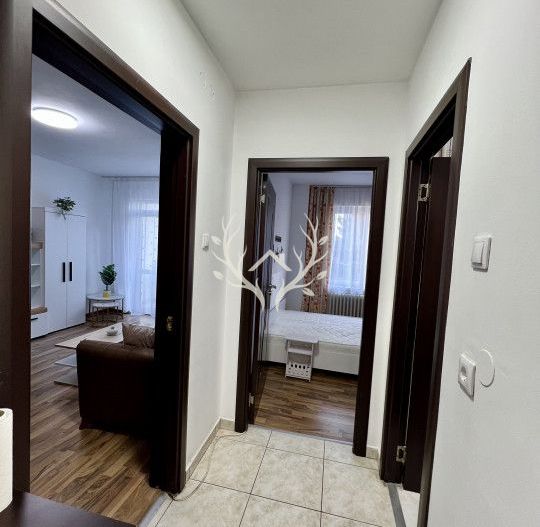 Apartament cu 2 camere, decomandat, C.Brancusi Gheorgheni - Poză 5