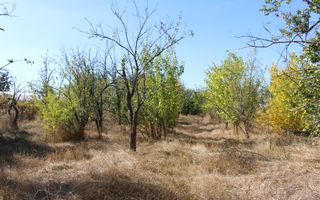 Casă individuală cu 4 camere în Burila Mare, jud. Mehedinți - Poză 10