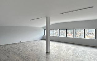 Hală de vânzare, 560 mp, zonă industrială Theodor Pallady, București