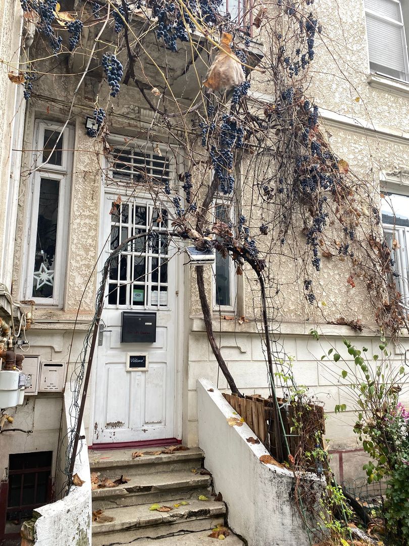 De Vanzare Vila Interbelica, 8-10 Camere, Romana - Zodiac - Poză 37