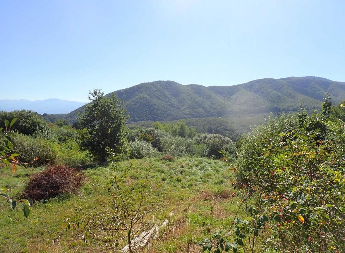 Teren intravilan Cisnadioara, Sibiu - Poză 1