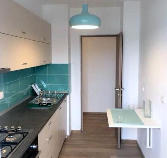 De inchiriat - apartament cu o camera, 47 mp - Faleza Dunarii - Poză 5