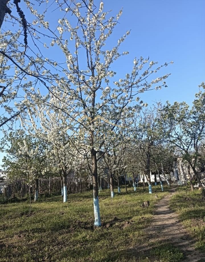 Vila 9 camere***gradina cu pomi fructiferi//1085 mp teren***Dragomiresti-Deal - Poză 2