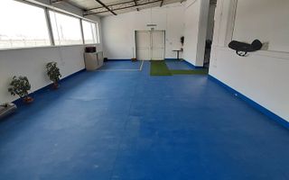 Hala in suprafata de 480 mp + teren 2400 mp, Catamaresti Deal, 160000 euro - Poză 6