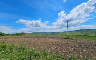 Teren 5800 mp la drum principal - Blajenii de Jos - Poză 2