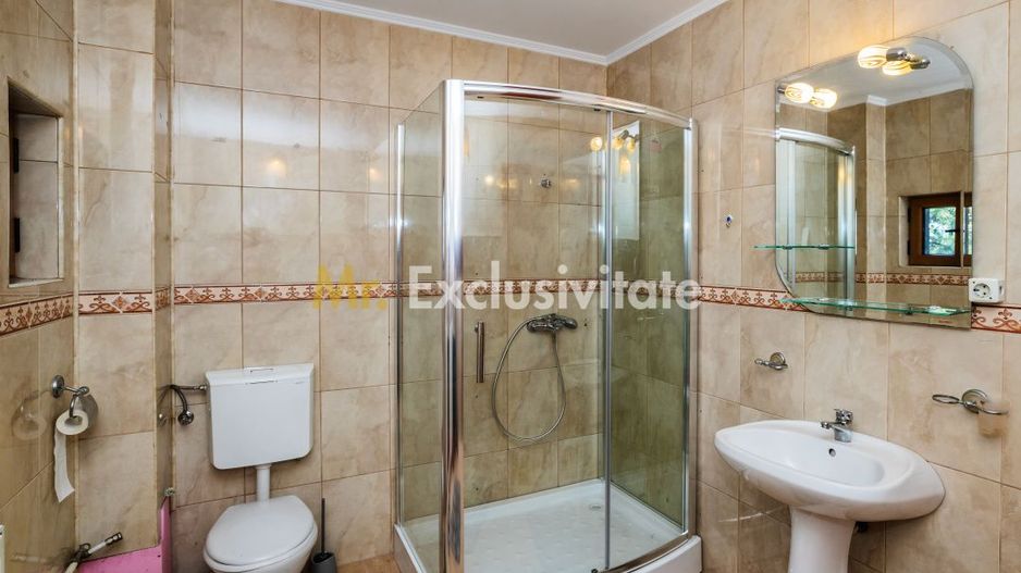Proprietate premium vis-a-vis de noul Stadion Nicolae Dobrin - Poză 37