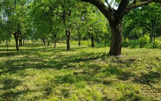 Teren cu utilități 2052 mp - Oradea - str. Făgetului - Poză 16