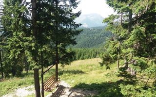 Cabană în Rânca cu 500 mp teren și panoramă impresionantă - Poză 6