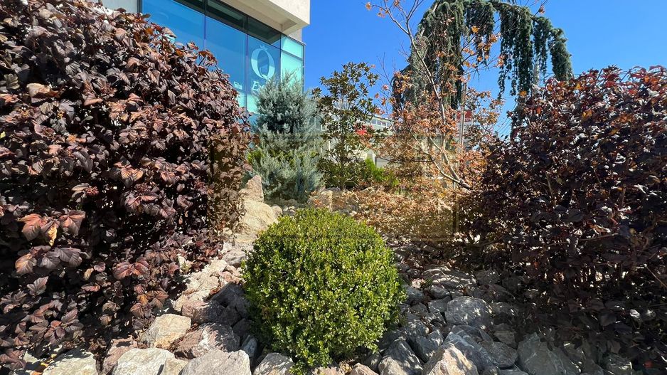 Apartament 2 camere + parcare subterana Pacaurari Grand Beetle - Poză 34