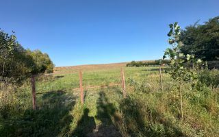 Vanzare teren 2936 mp, zona strada Dealu Fanatelor - Poză 3