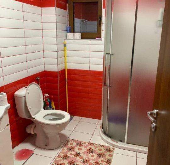 Inchiriere Vila Gavana, langa padure - Poză 8