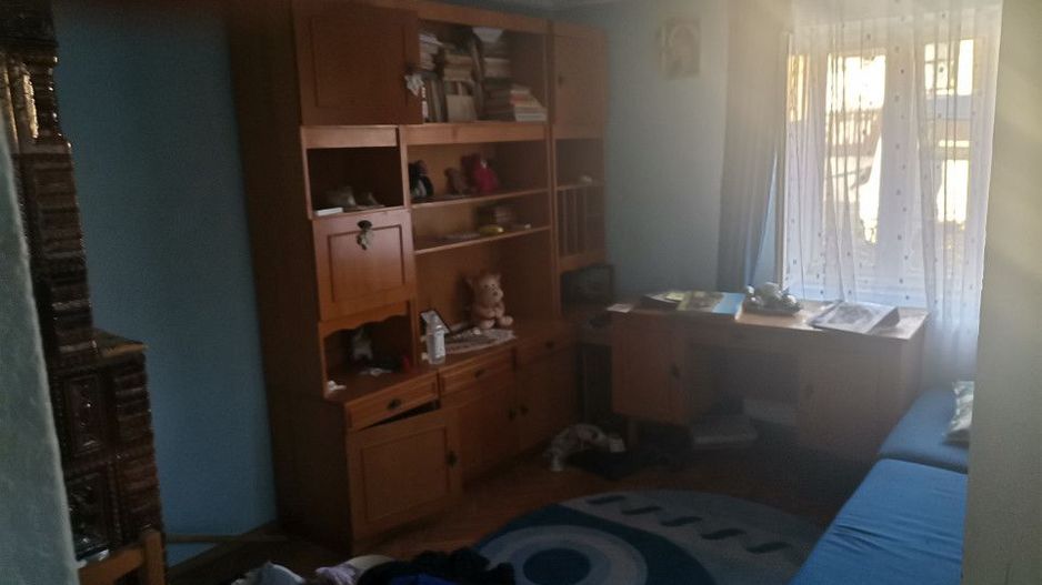 Teren cu casa si anexe in Budeasa Mare - Poză 13