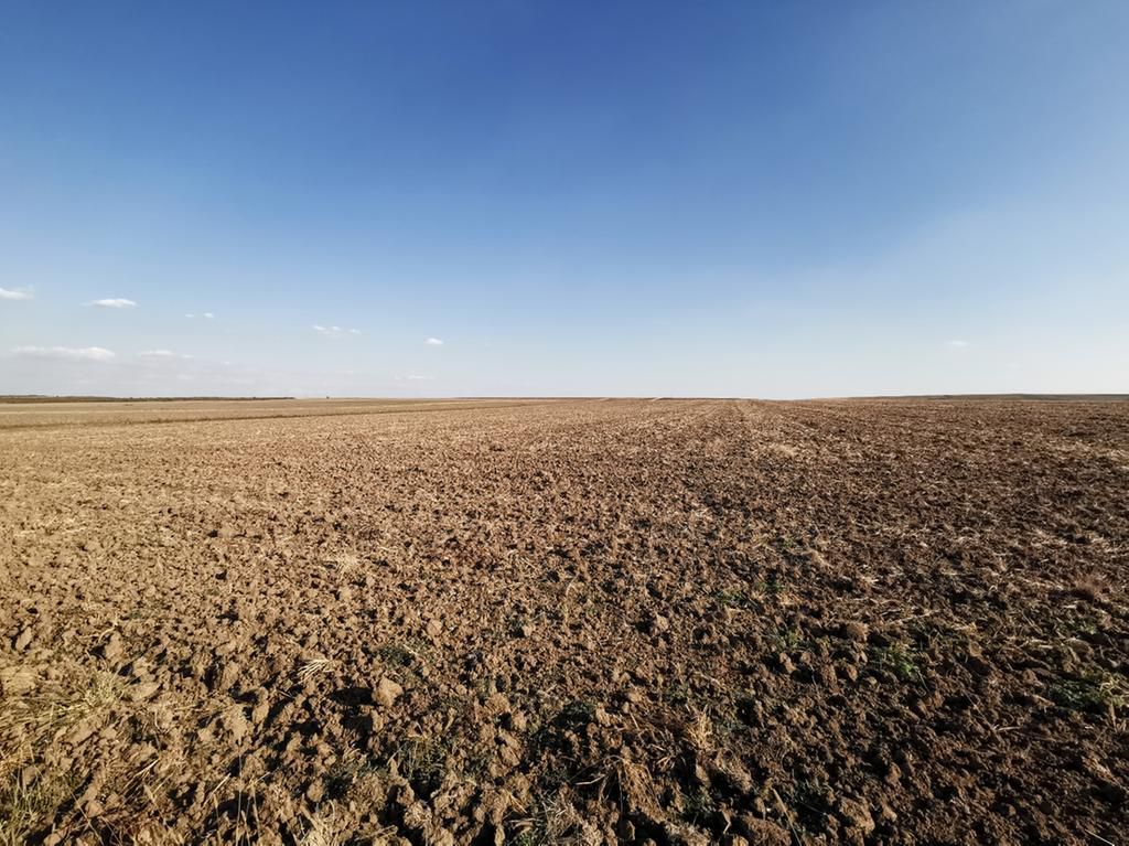 Ferma 415 ha comasat Timisoara NORD - Poză 12