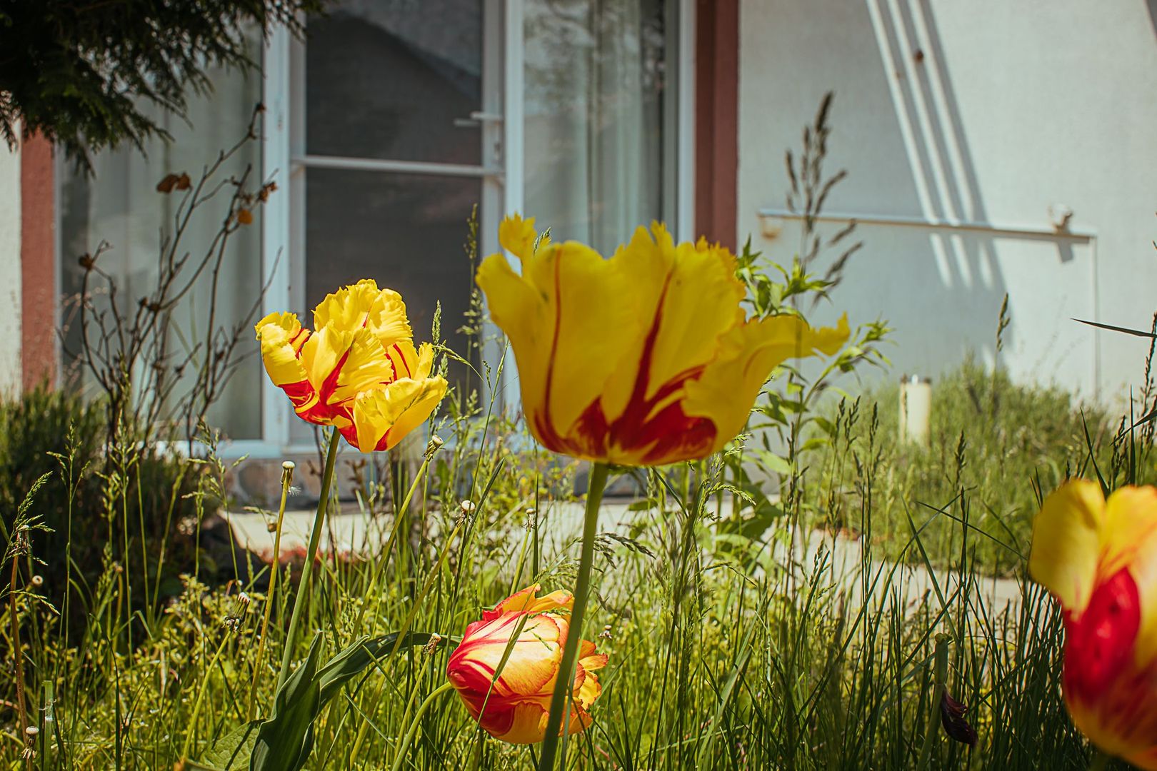 Exclusivitate - Sanpetru, casa cu priveliște deosebită - Poză 21