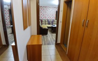 Apartament 2 camere | zona Terezian - Poză 9