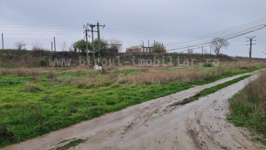 Teren Intravilan 5.000 mp – Perfect pentru Parc Fotovoltaic, Hale sau Lotizare - Poză 3