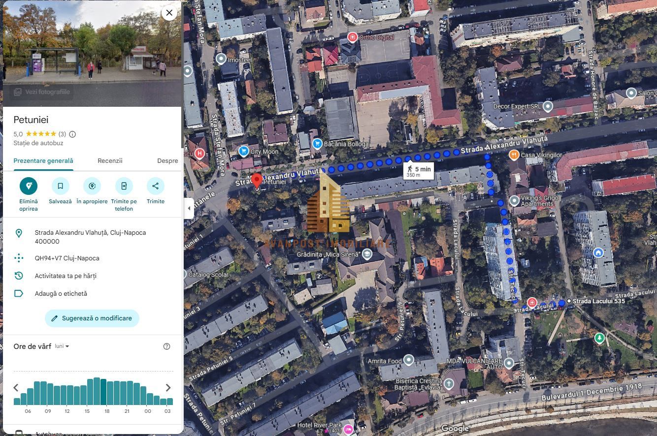 | Apartament cu 3 camere de vanzare | Cartierul Grigorescu | Etaj 4| Decomantat| - Poză 9