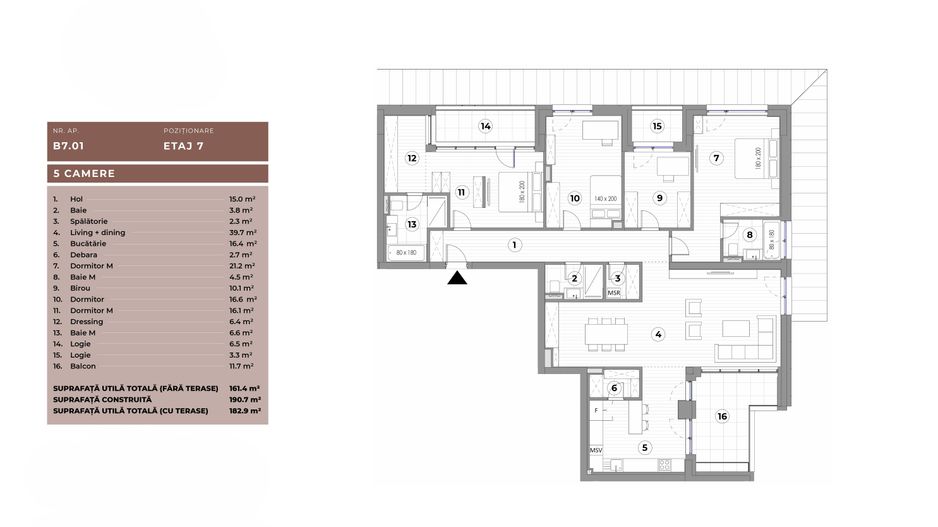 APARTAMENT 5 CAMERE | PROIECT NOU | PIATA IANCULUI - Poză 22