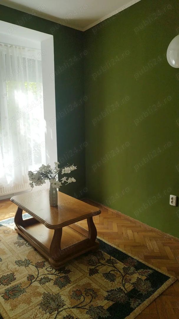 Vând imobil, fundație înaltă, in SM, zona bună - Poză 3