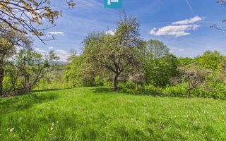 Proprietate rară cu 24.270 mp, în Măgulicea, Arad! - Poză 26