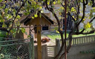 Vand casa la tara - Poză 5