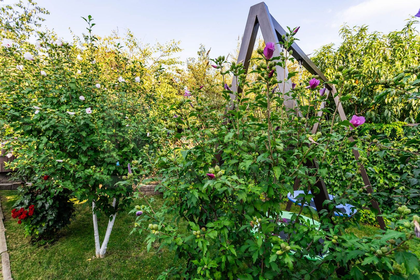 Vânzare, casă, 3 nivele, 160 mp, Goianul Nou - Poză 32