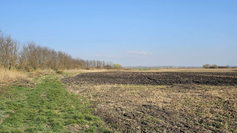 Teren extravilan pentru balastiera Biharia - Poză 5