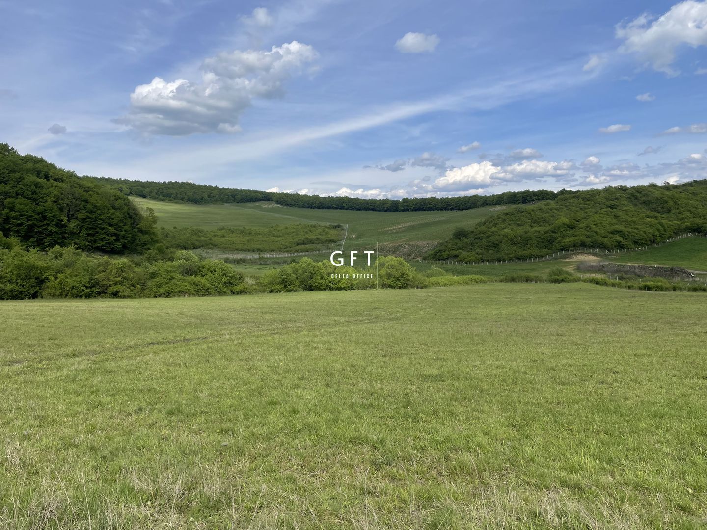 Teren extravilan 10000 mp, Jelna. - Poză 4