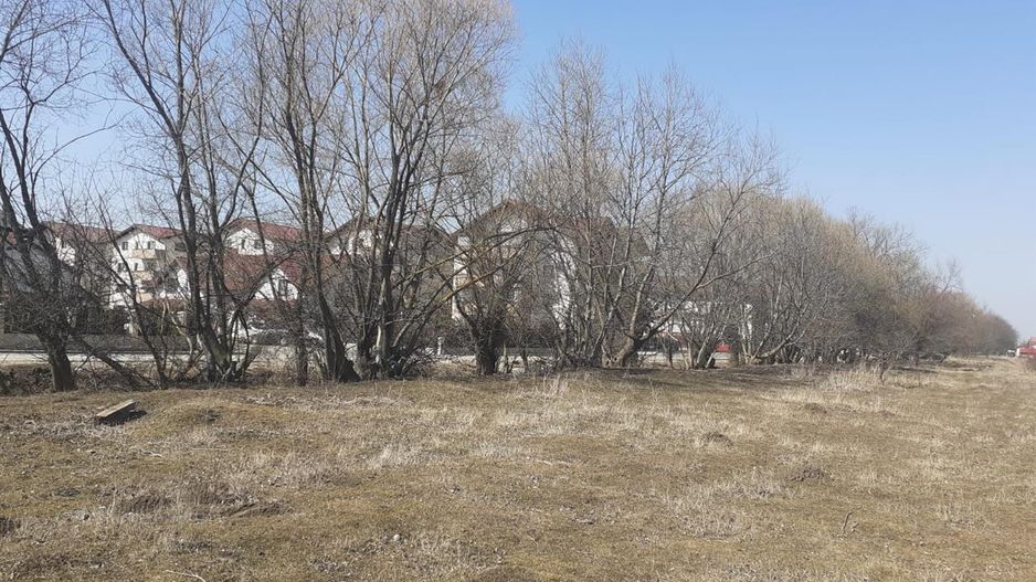 1.600mp intravilan recomandat investitie/ rezidential/ mic proiect imobiliare - Poză 3