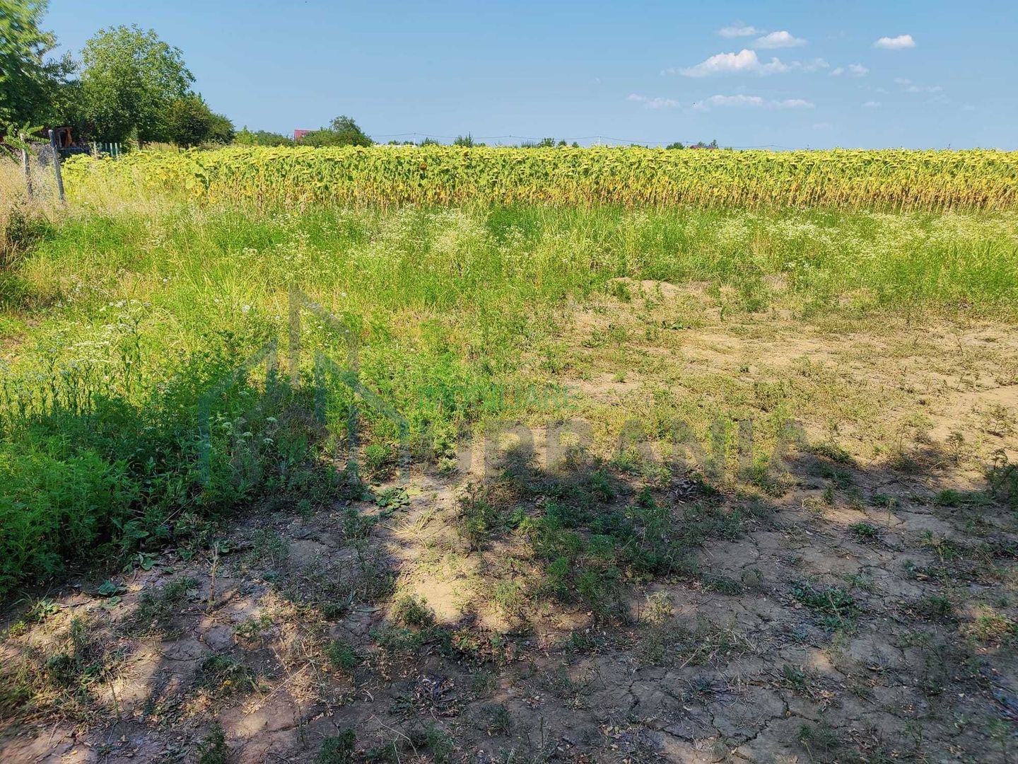 Teren intravilan de 1300 mp în sat Popricani, comuna Popricani, județul Iași - Poză 4