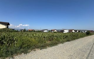 Teren intravilan de vanzare, Micesti - Poză 2