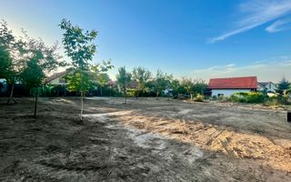 Teren de vânzare – Tocile - Poză 7