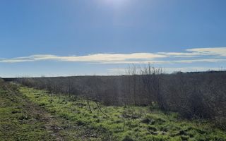 Vama Veche | Teren intravilan pentru investiții imobiliare! - Poză 2