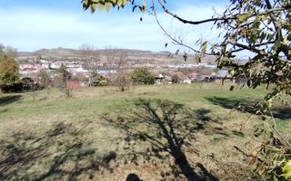 Teren intravilan 3.798 mp în Agnita, cu posibilitate de parcelare - Poză 5