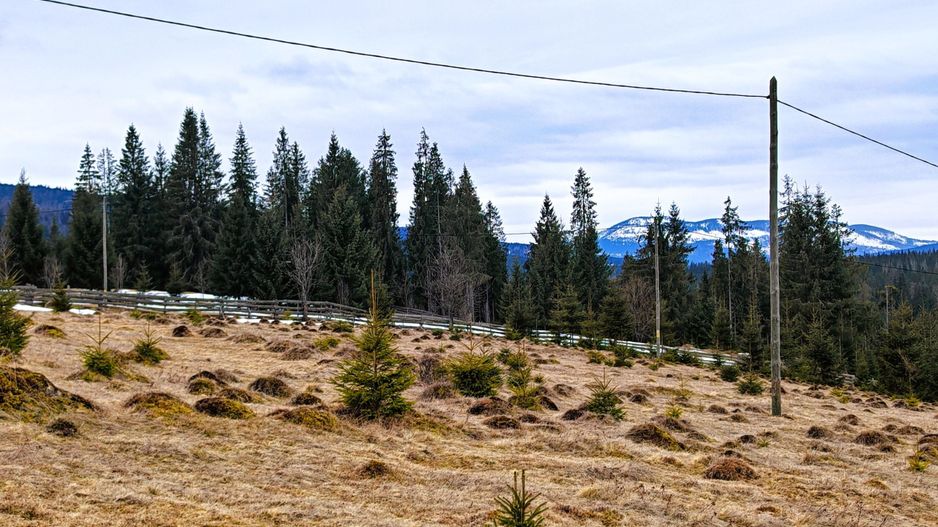 6636 mp TEREN in Statiunea Turistica Montana BELIS – FANTANELE, CLUJ - Poză 4