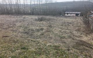 Teren intravilan, 675 mp, PUZ aprobat, front 14 ml, utilitati, Teleac - Poză 1