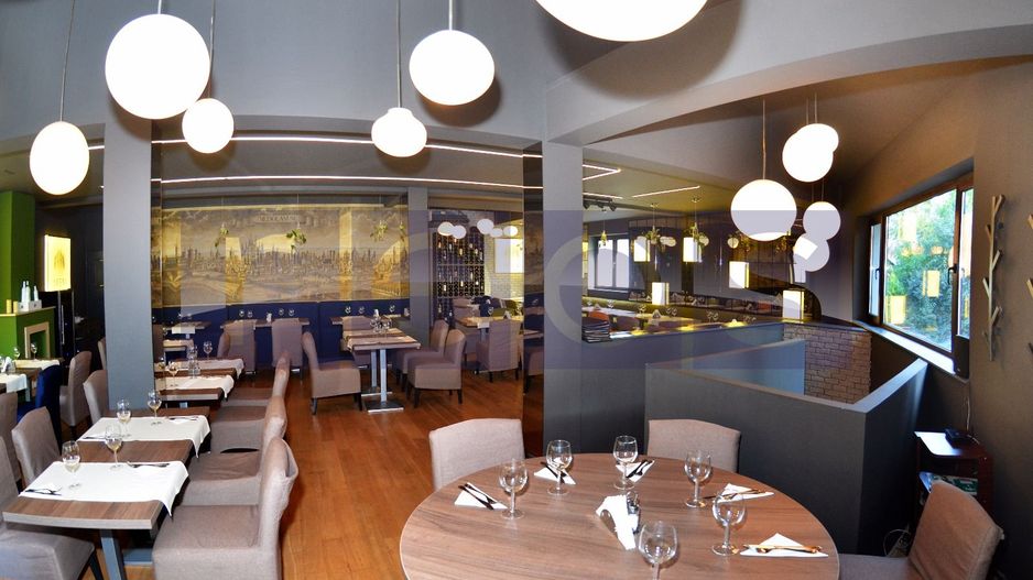 OPORTUNITATE VANZARE - INCHIRIERE VILA RESTAURANT | GRADINA ICOANEI | - Poză 3