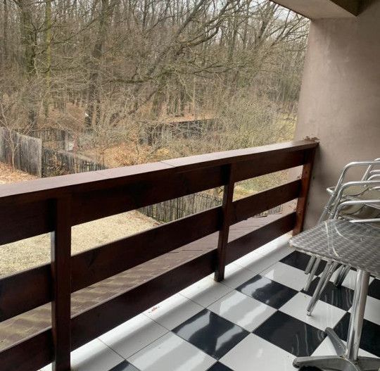 Inchiriere Vila Gavana, langa padure - Poză 5