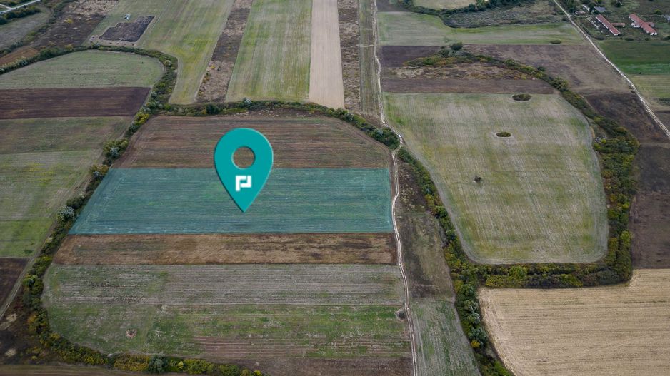 Teren agricol de 34.500mp în Albina, Județul Timiș - Poză 1