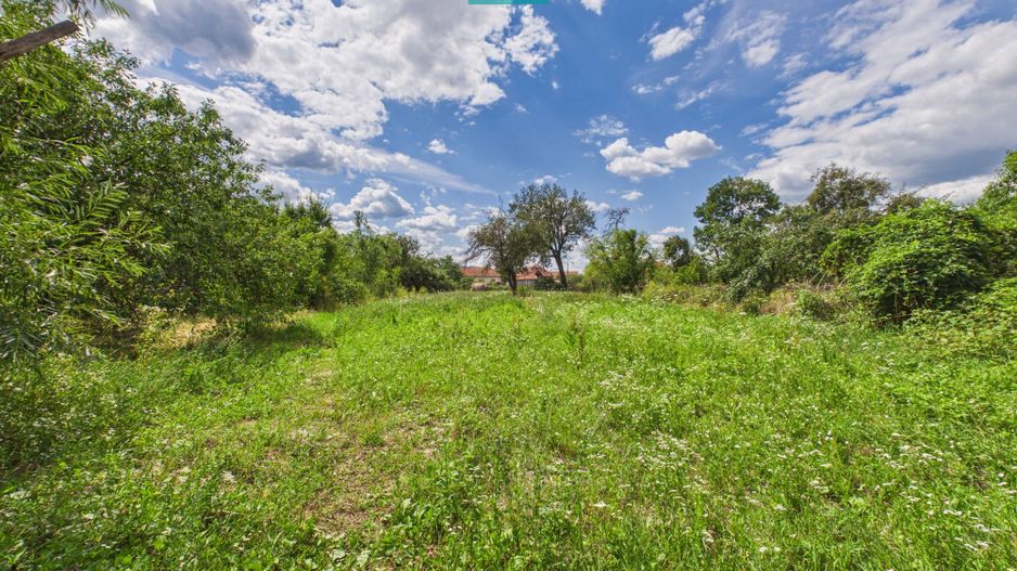 Casă cu teren de 2341 mp, în Bonțești, Arad - Poză 8