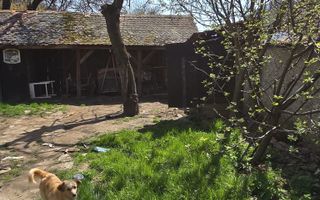Casa Individuala I 4 Camere I Teren 1200mp I Gales- Saliste - Poză 7