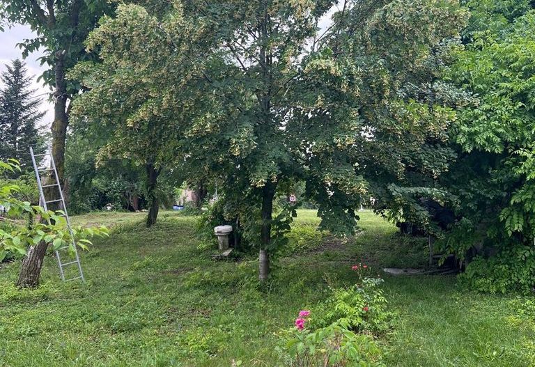 ofer spre vanzare teren pe malul lacului Snagov si vila S+P+E+M - Poză 5