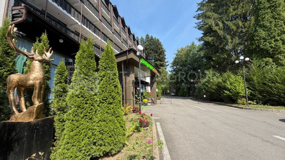 Hotel 4 stele, complet echipat, 85 camere, teren 5000 mp - Predeal - Poză 24