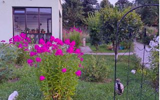 VILA DE VANZARE, CAMPULUNG, ZONA MARCUS, 150 MP, TEREN 1843 MP - Poză 18