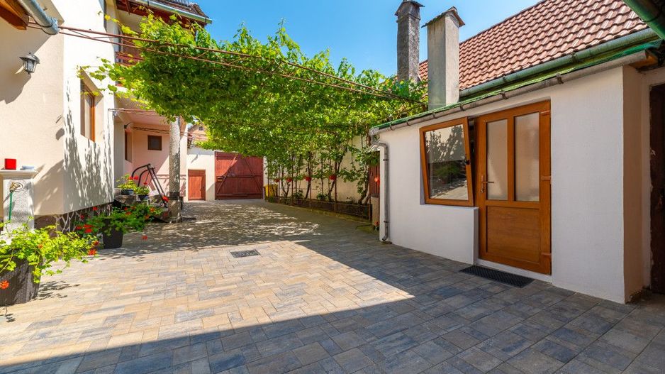 Casa + Pensiune deosebita - Orlat, Sibiu - Poză 55
