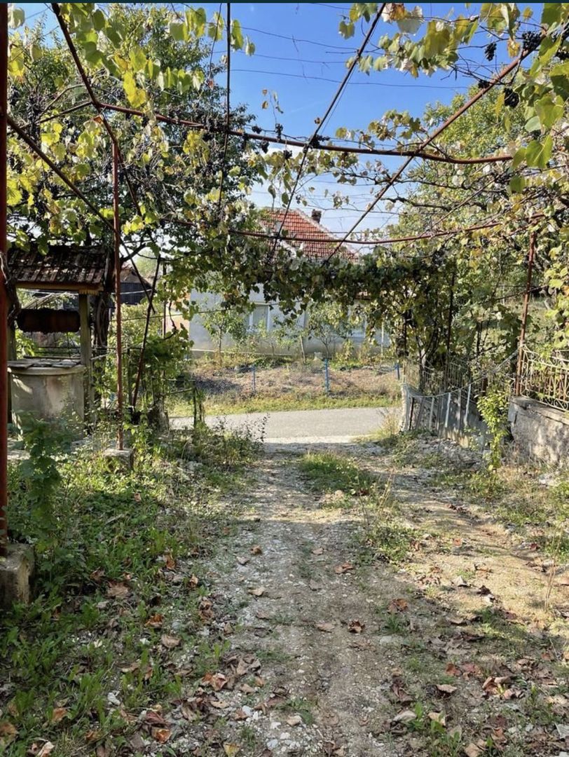 Vand casa la tara - Poză 7